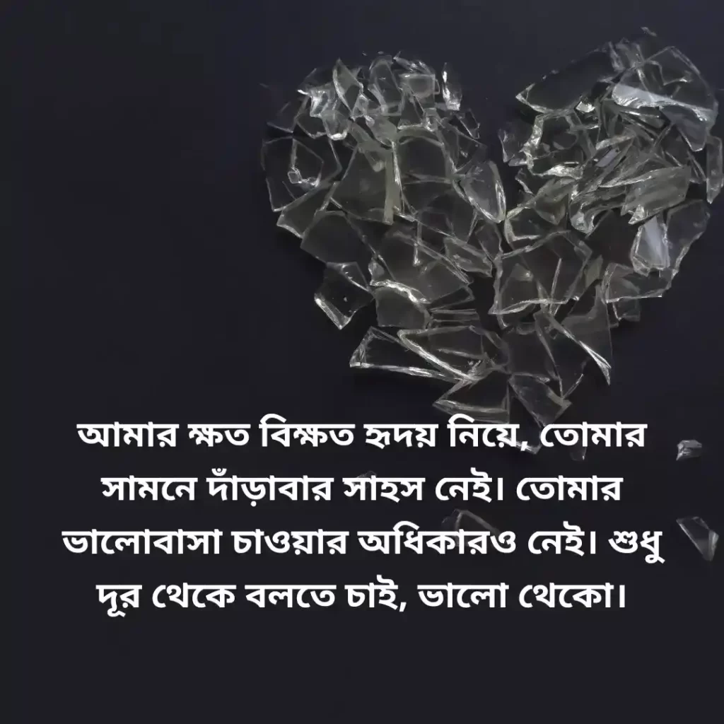 Bangla Sad Caption 