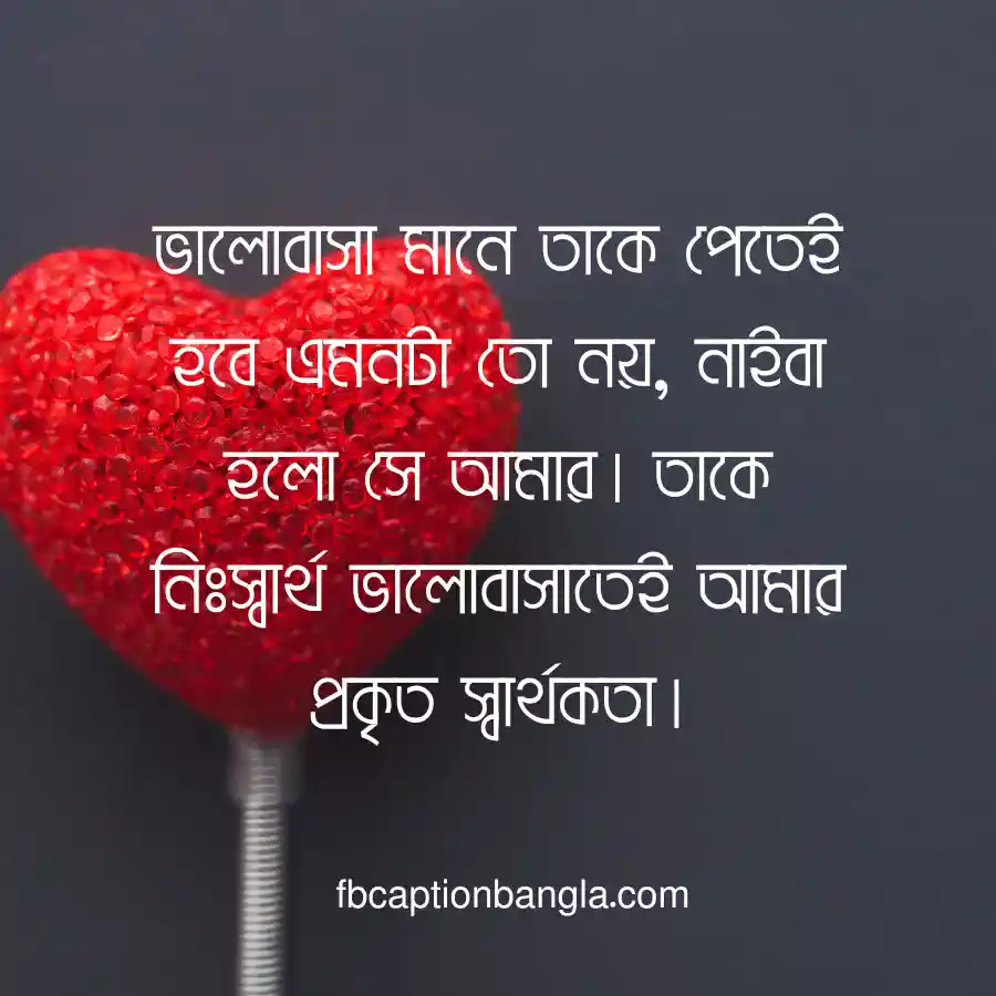 love status bangla 2023